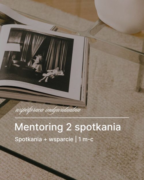 Mentoring 2 spotkania